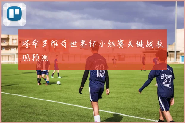 塔希罗维奇世界杯小组赛关键战表现预测