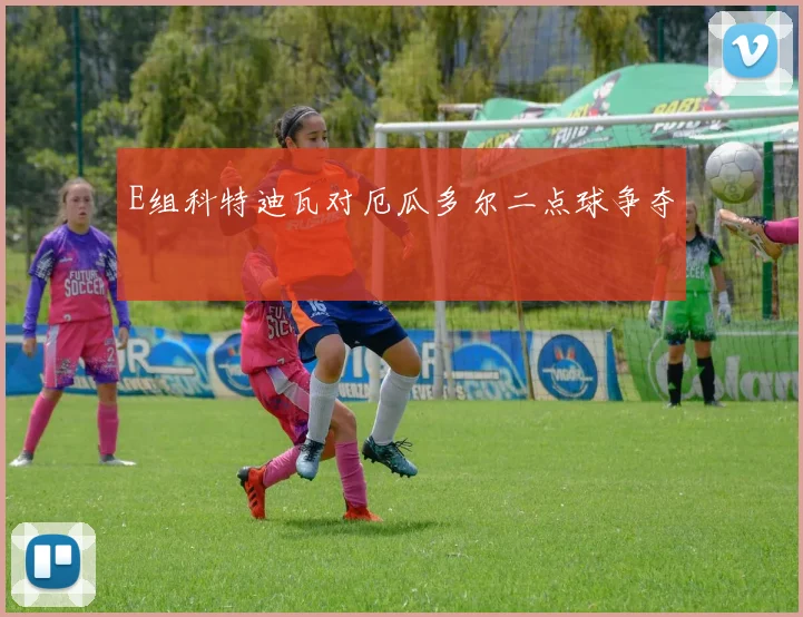 E组科特迪瓦对厄瓜多尔二点球争夺