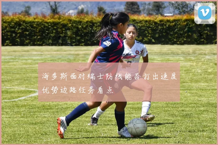 海多斯面对瑞士防线能否打出速度优势边路任务看点
