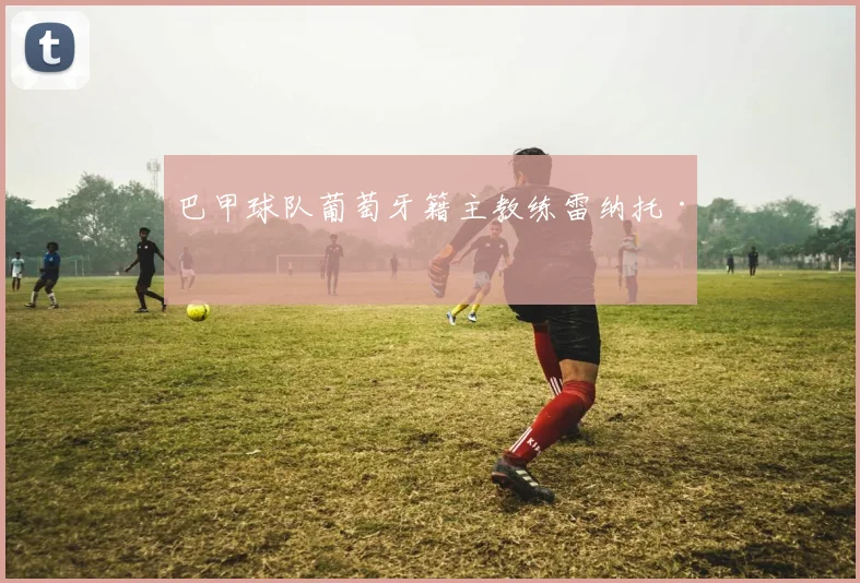 巴甲球队葡萄牙籍主教练雷纳托·