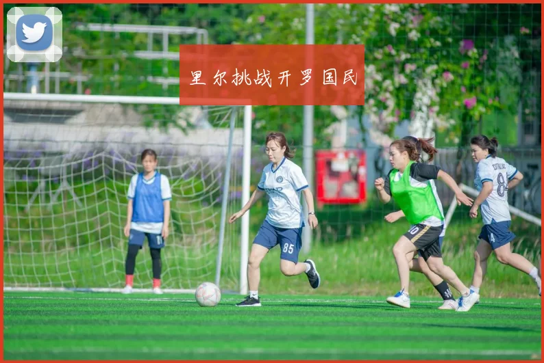 里尔挑战开罗国民