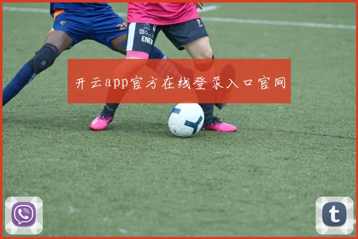 开云app官方在线登录入口官网