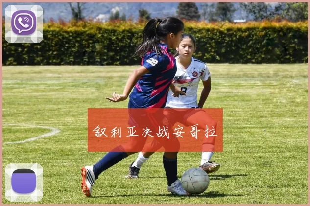 叙利亚决战安哥拉