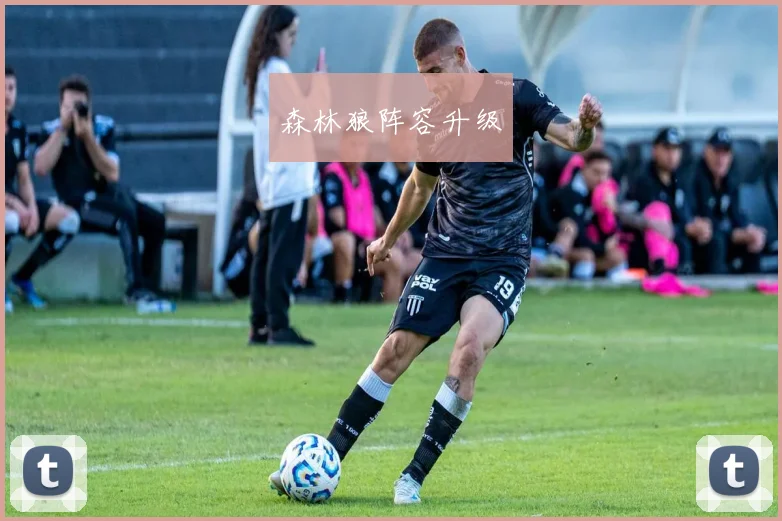 森林狼阵容升级