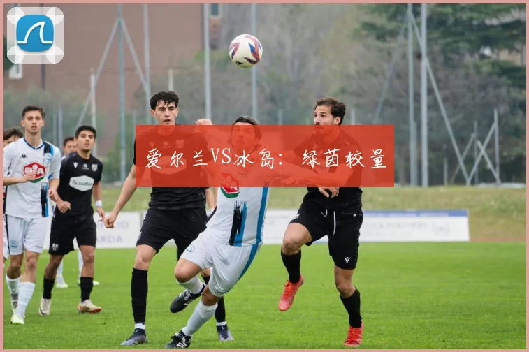 爱尔兰VS冰岛：绿茵较量