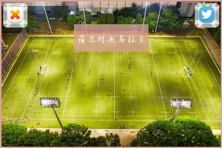 荷兰对决乌拉圭