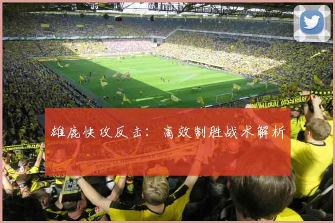 雄鹿快攻反击：高效制胜战术解析