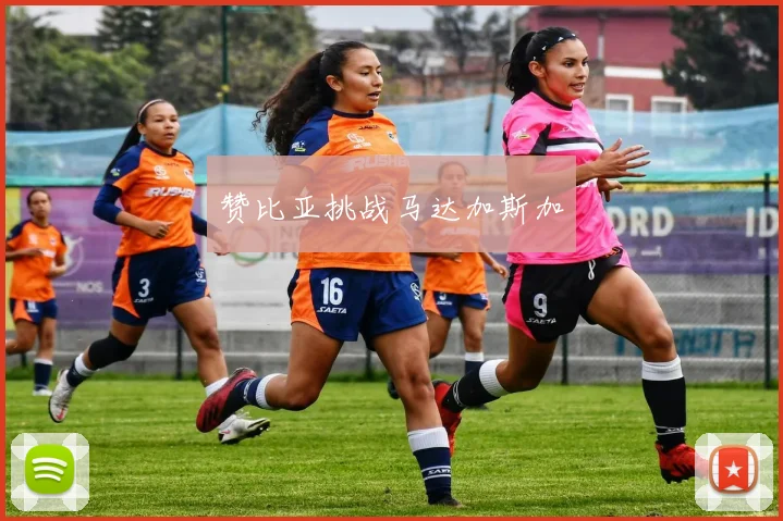 赞比亚挑战马达加斯加