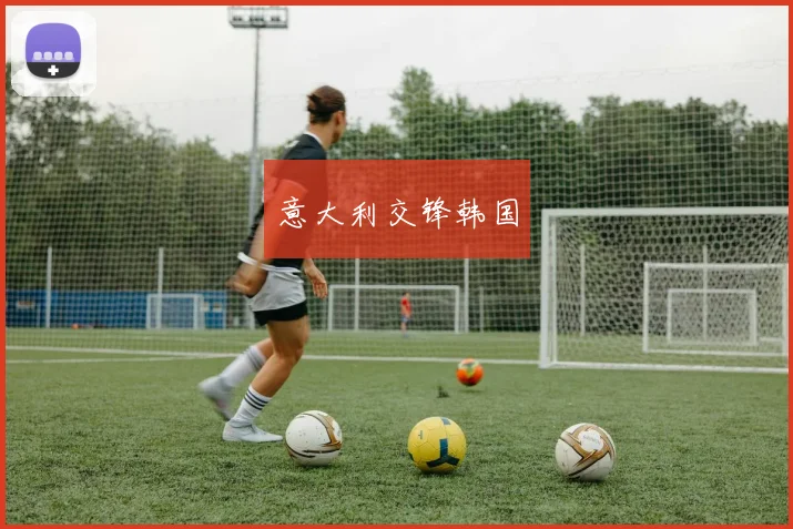 意大利交锋韩国