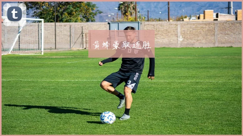 黄蜂豪取连胜