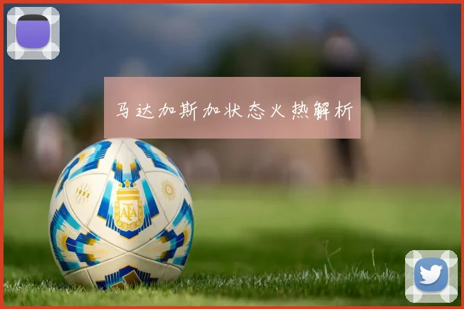 马达加斯加状态火热解析