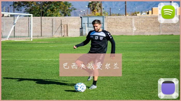 巴西决战爱尔兰