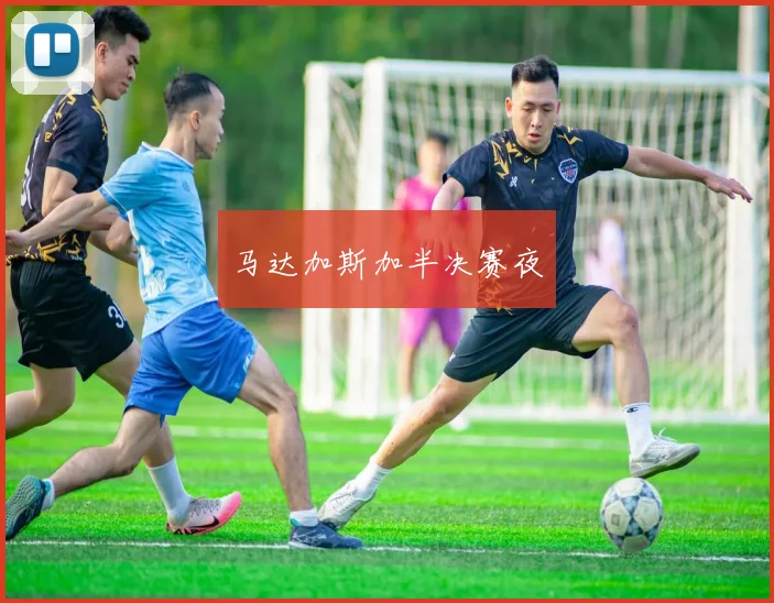 马达加斯加半决赛夜