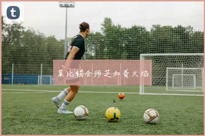 莱比锡会师芝加哥火焰