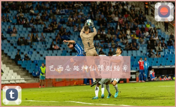 巴西各路神仙预测赔率
