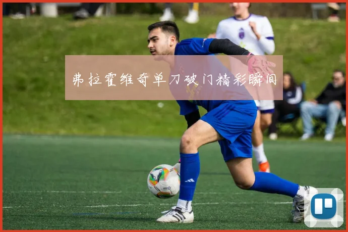 弗拉霍维奇单刀破门精彩瞬间