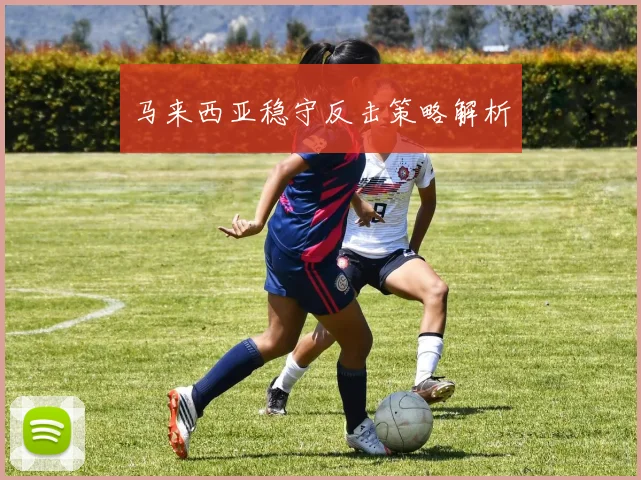 马来西亚稳守反击策略解析