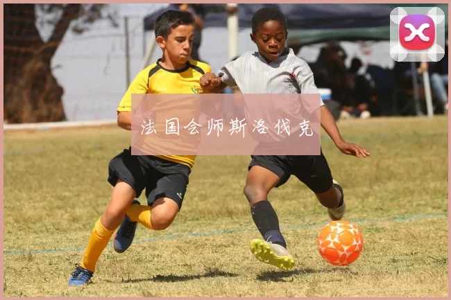 法国会师斯洛伐克