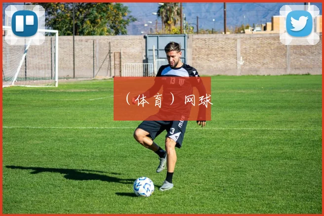 （体育）网球