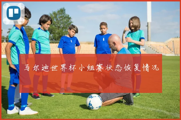 马尔迪世界杯小组赛状态恢复情况