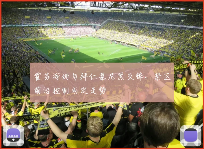 霍芬海姆与拜仁慕尼黑交锋，禁区前沿控制或定走势