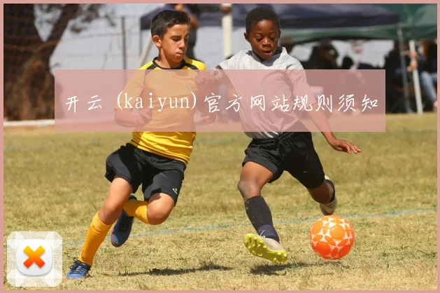 开云 (kaiyun)官方网站规则须知