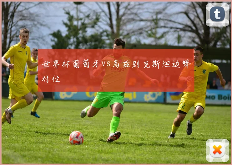 世界杯葡萄牙vs乌兹别克斯坦边锋对位